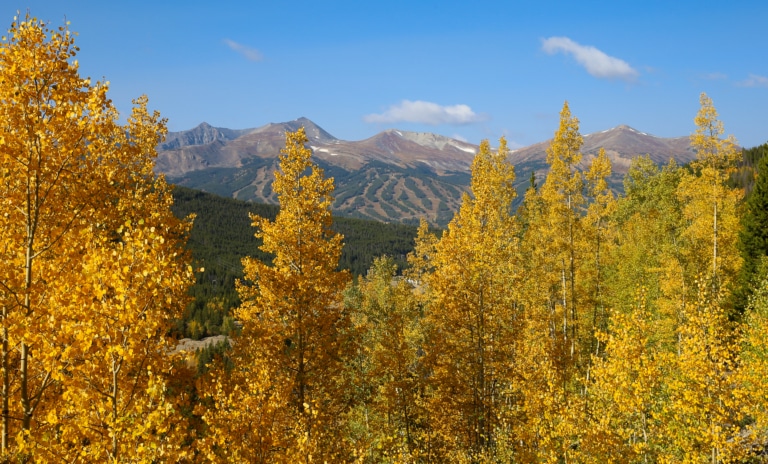 The Ultimate Guide to Fall Leaf Peeping in Breckenridge
