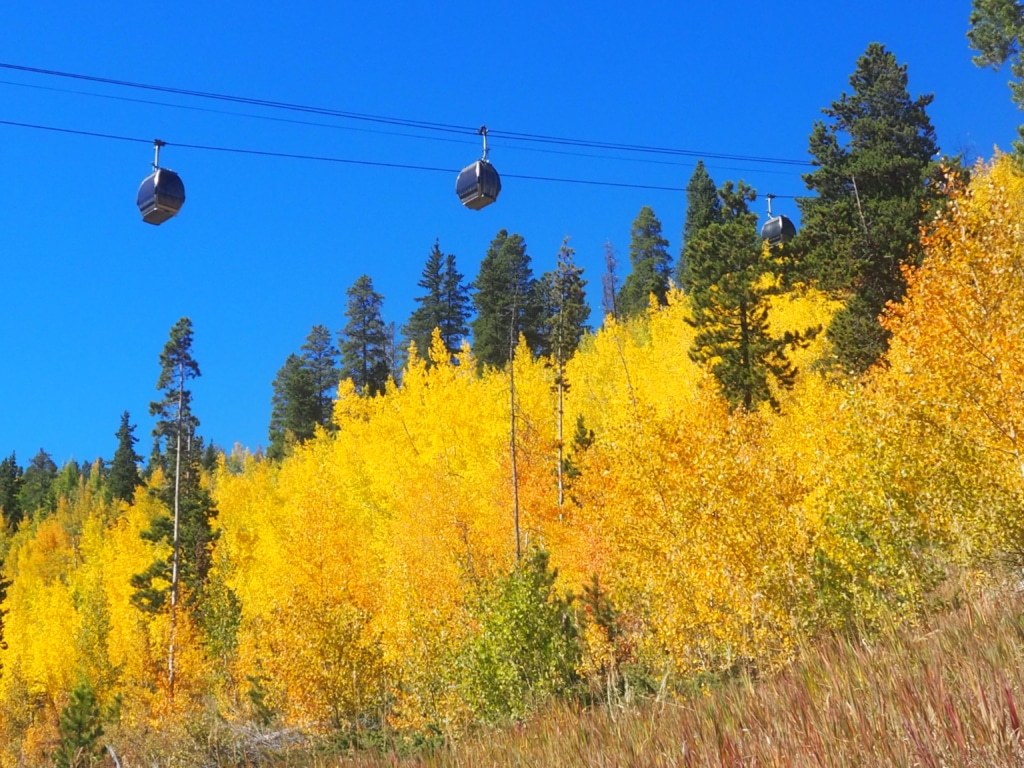 Cable cars suspended on a cable above a forest of bright yellow autumn trees under a clear blue sky