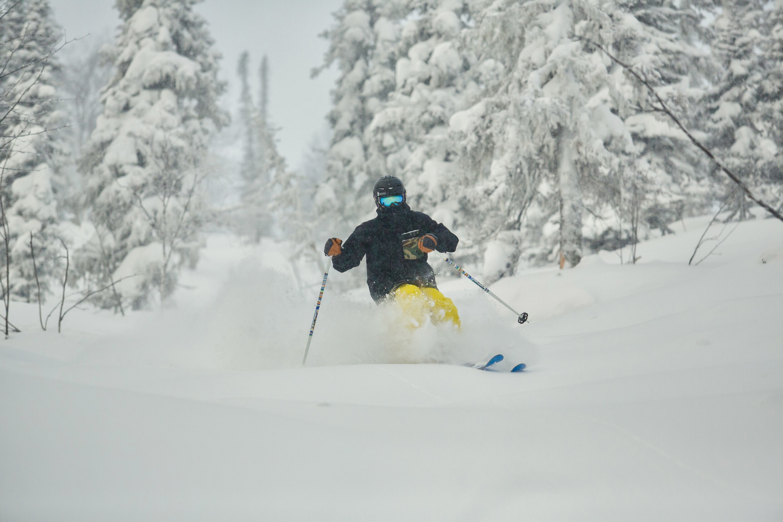 epic pass holders