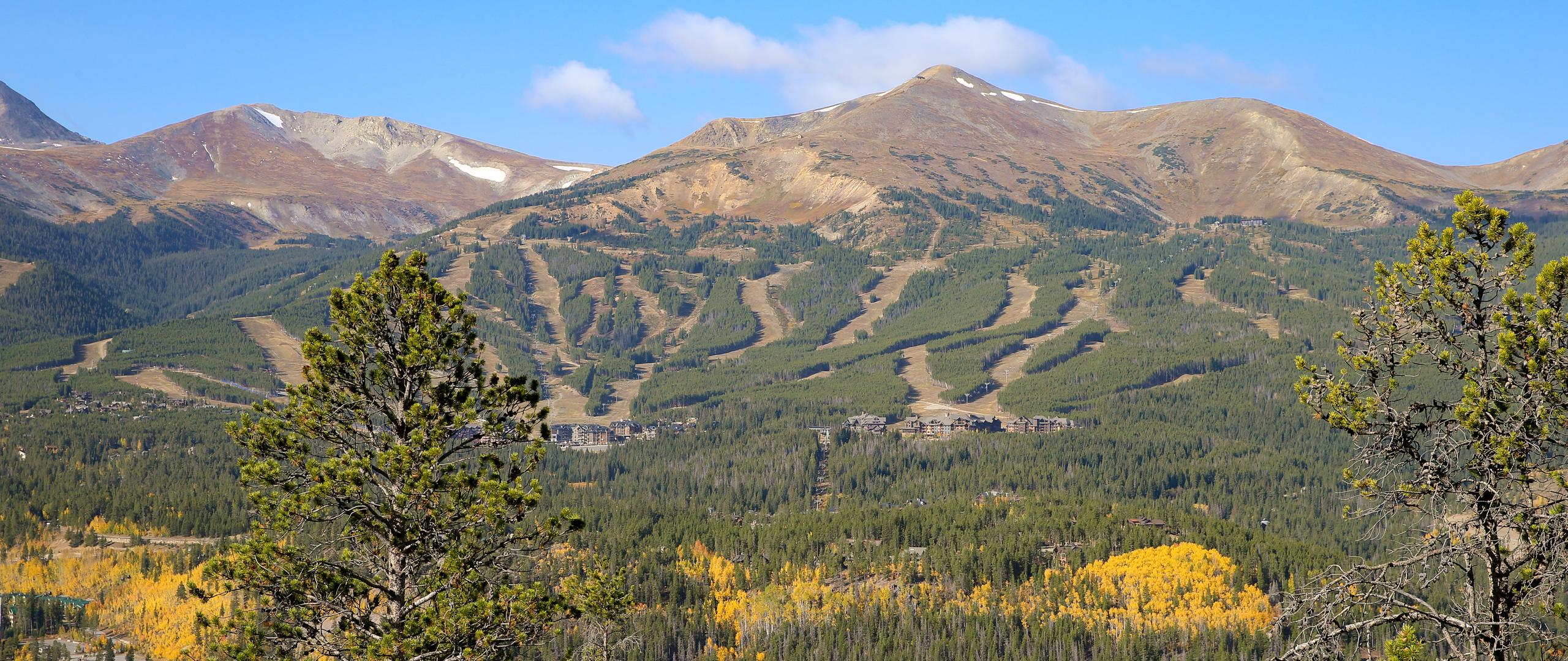 Mountain valley with ski trails on bare slopes, dense evergreen forest, and a small village at the base under a blue sky.