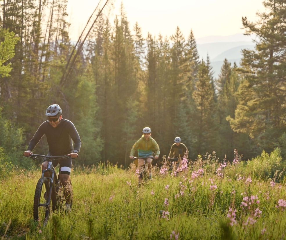 Guests mountain biking through a forest meadow near Hotel Alpenrock, surrounded by wildflowers and trees.
