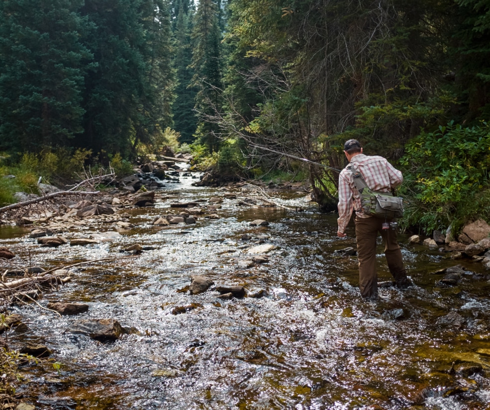 Man wearing a plaid shirt and waders stands in a shallow rocky river, fishing along a forested bank.