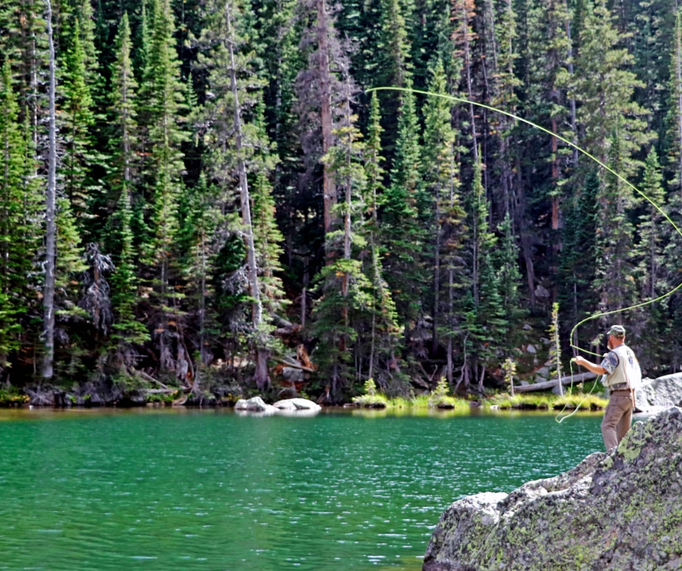 Man fishing on a rocky lakeshore beside a bright green water body, dense evergreen forest in the background