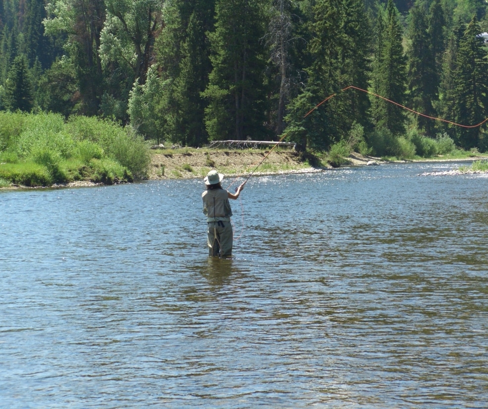 Fisherman standing in a river, casting a line with an orange rod, wearing a hat, with dense green trees along the bank behind him.