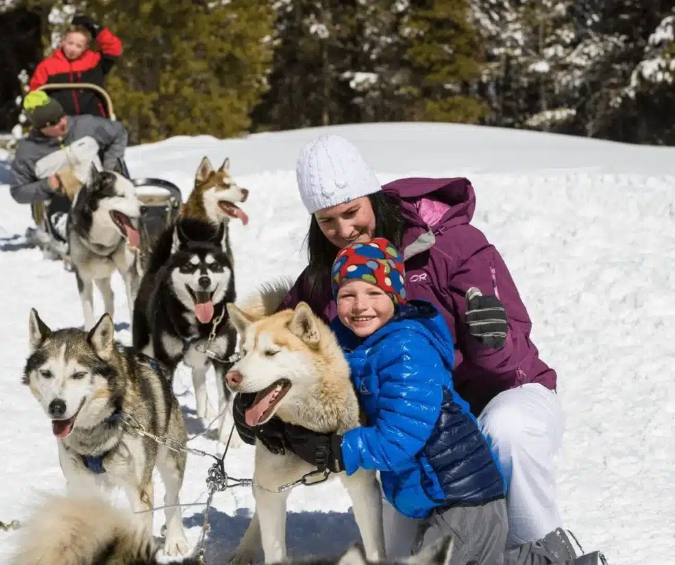 Family oriented winter scene: children and a woman in a purple jacket posing with a team of friendly huskies in the snow, ready for a sled ride.