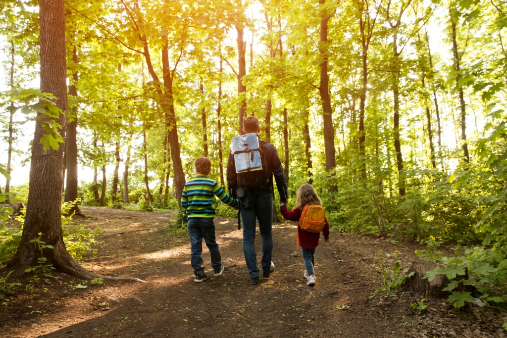 Family of four hiking along a wooded trail with backpacks, sunlight filtering through trees.