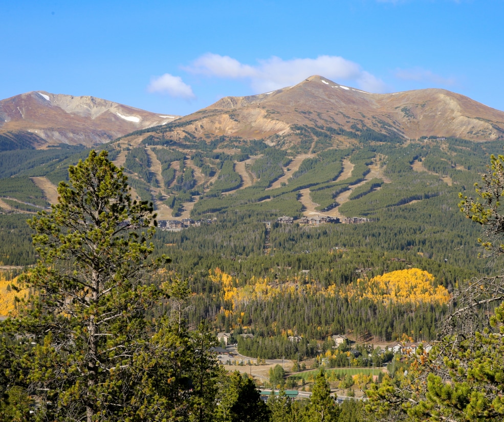 Mountain landscape with brown, snow-dlecked peaks under a blue sky; forested slopes and a small town at the valley base, autumn yellow foliage in foreground.