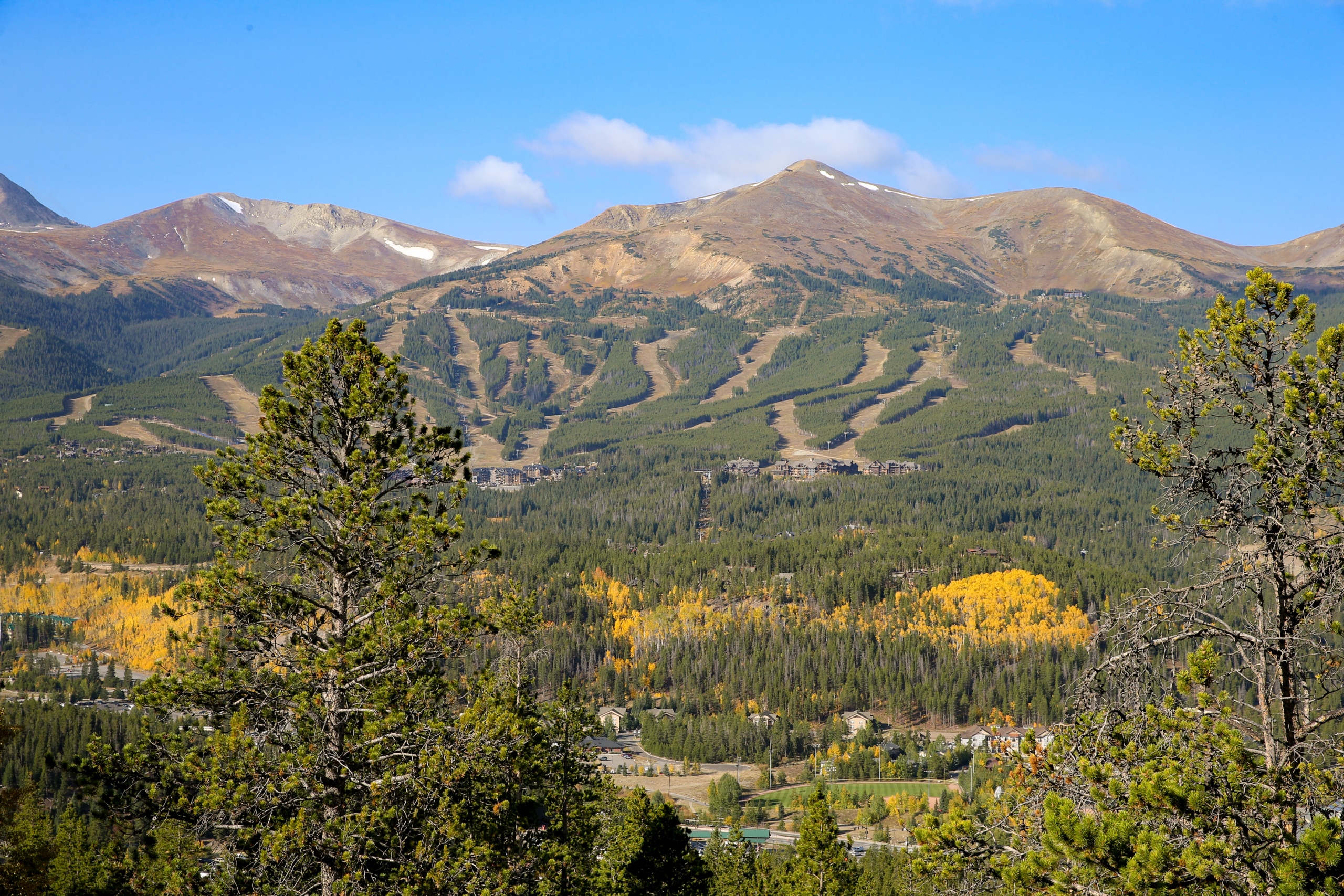 Mountain landscape with brown, snow-dlecked peaks under a blue sky; forested slopes and a small town at the valley base, autumn yellow foliage in foreground.