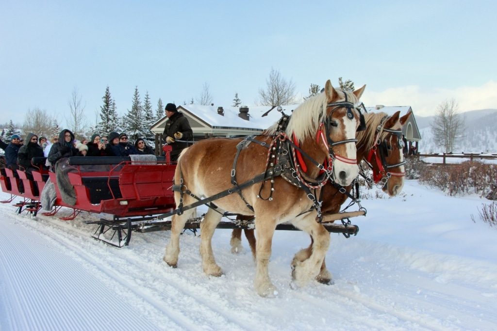 Two tan horses harnessed to a bright red sleigh pull a line of passengers through a snowy landscape.